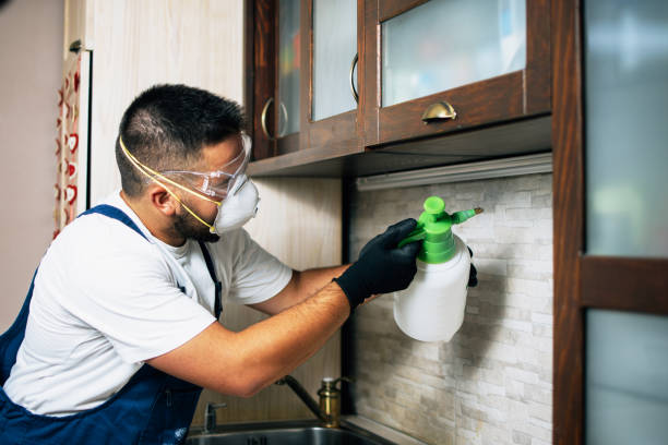 Best Pest Control Near Me  in Middletown, IN