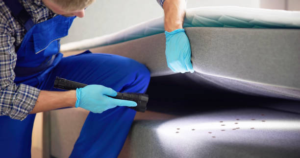 Best Best Pest Control Companies  in Middletown, IN