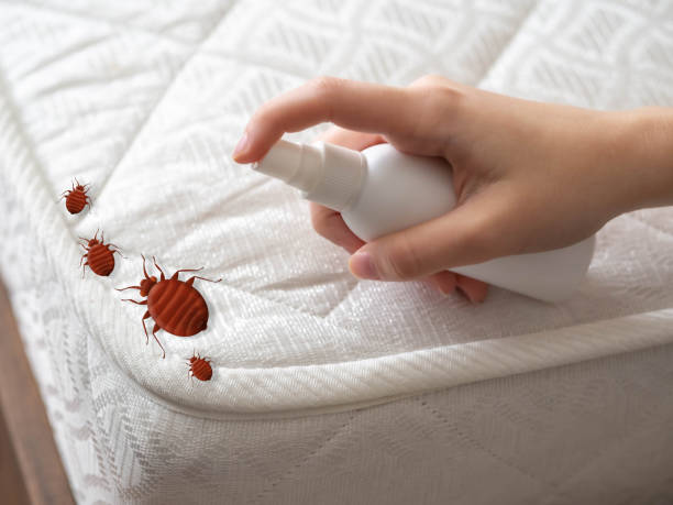 Best Bed Bug Extermination  in Middletown, IN
